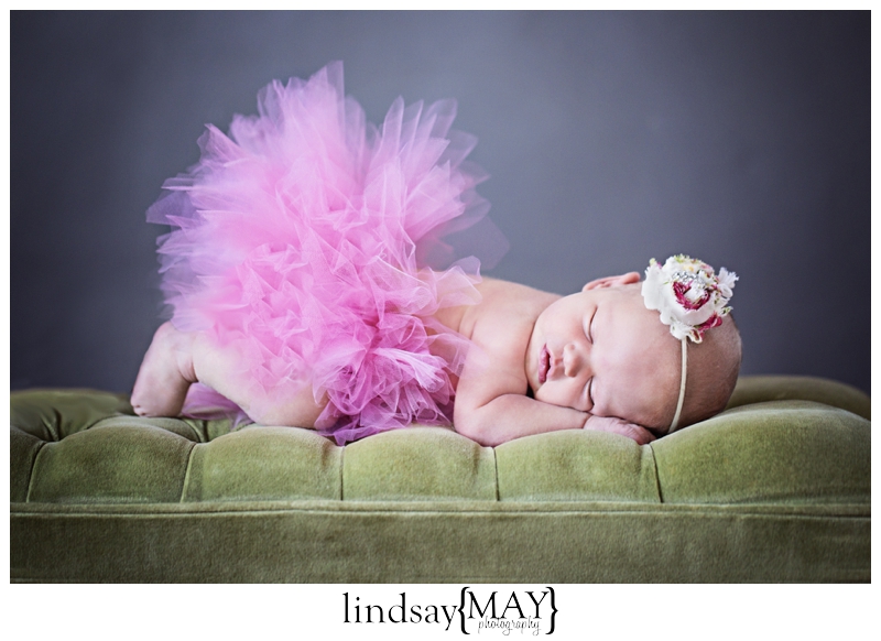 LindsayMayPhotography_0226.jpg