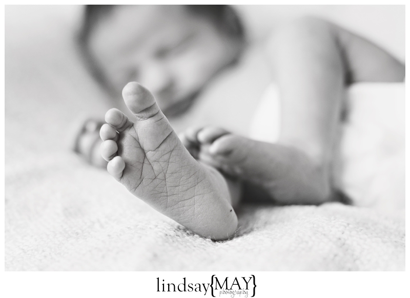 LindsayMayPhotography_0298.jpg