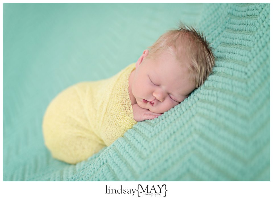 Twin Cities Newborn Photographer