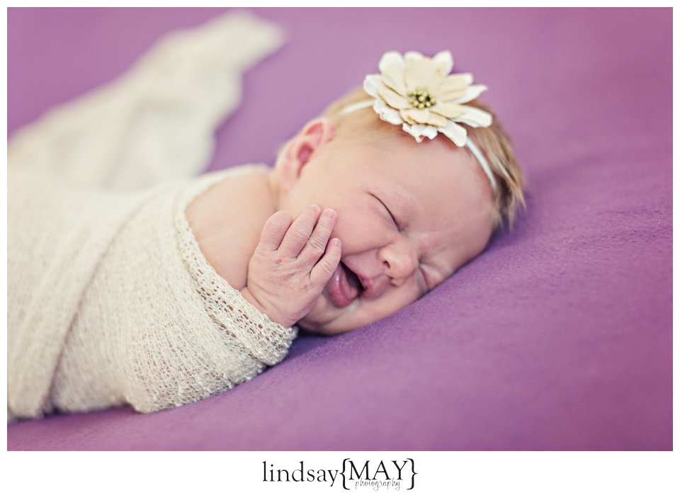 Twin Cities Newborn Photographer