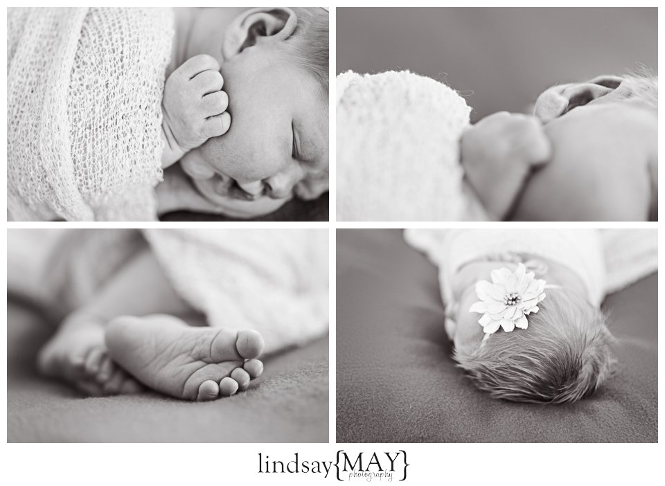 Twin Cities Newborn Photographer