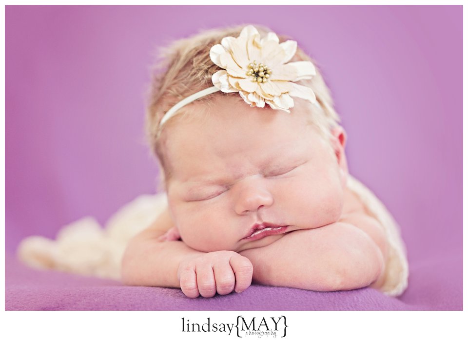 Twin Cities Newborn Photographer