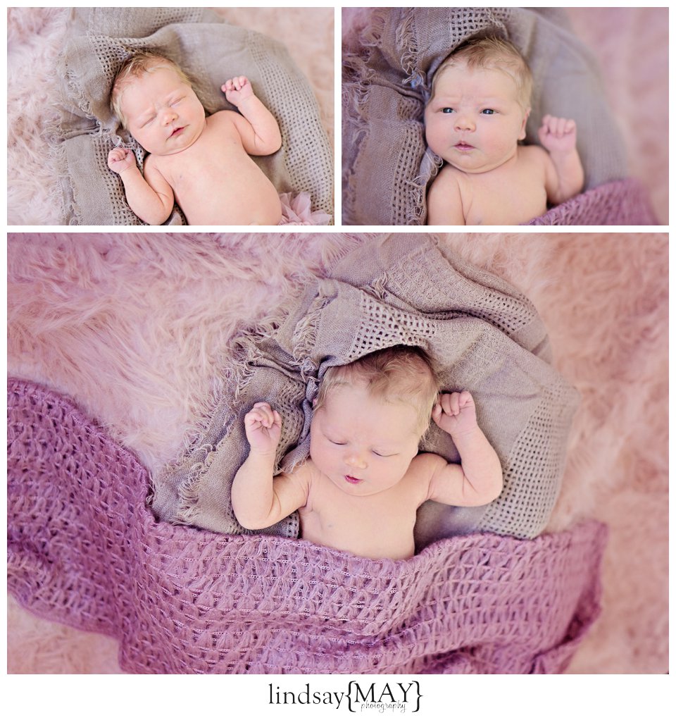 Twin Cities Newborn Photographer